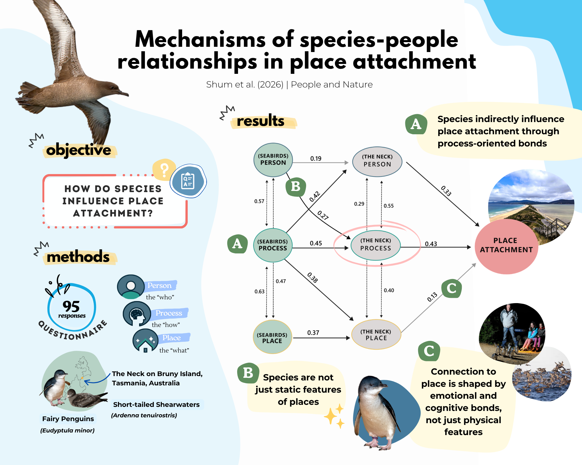 CH2 Graphical Abstrac
